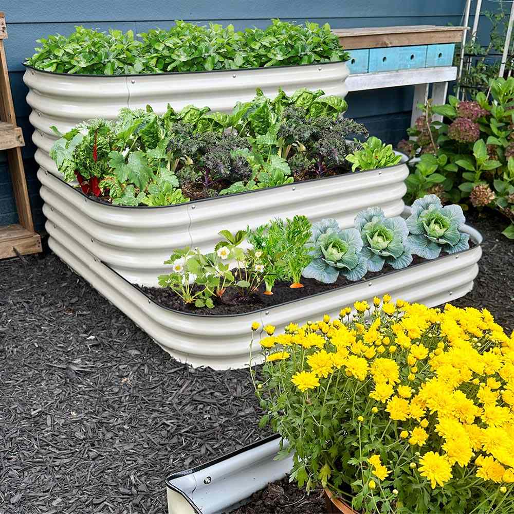 3 tiered raised garden bed grow vegetables.jpg__PID:9fa421d1-43c0-4383-813d-15c832041dcb