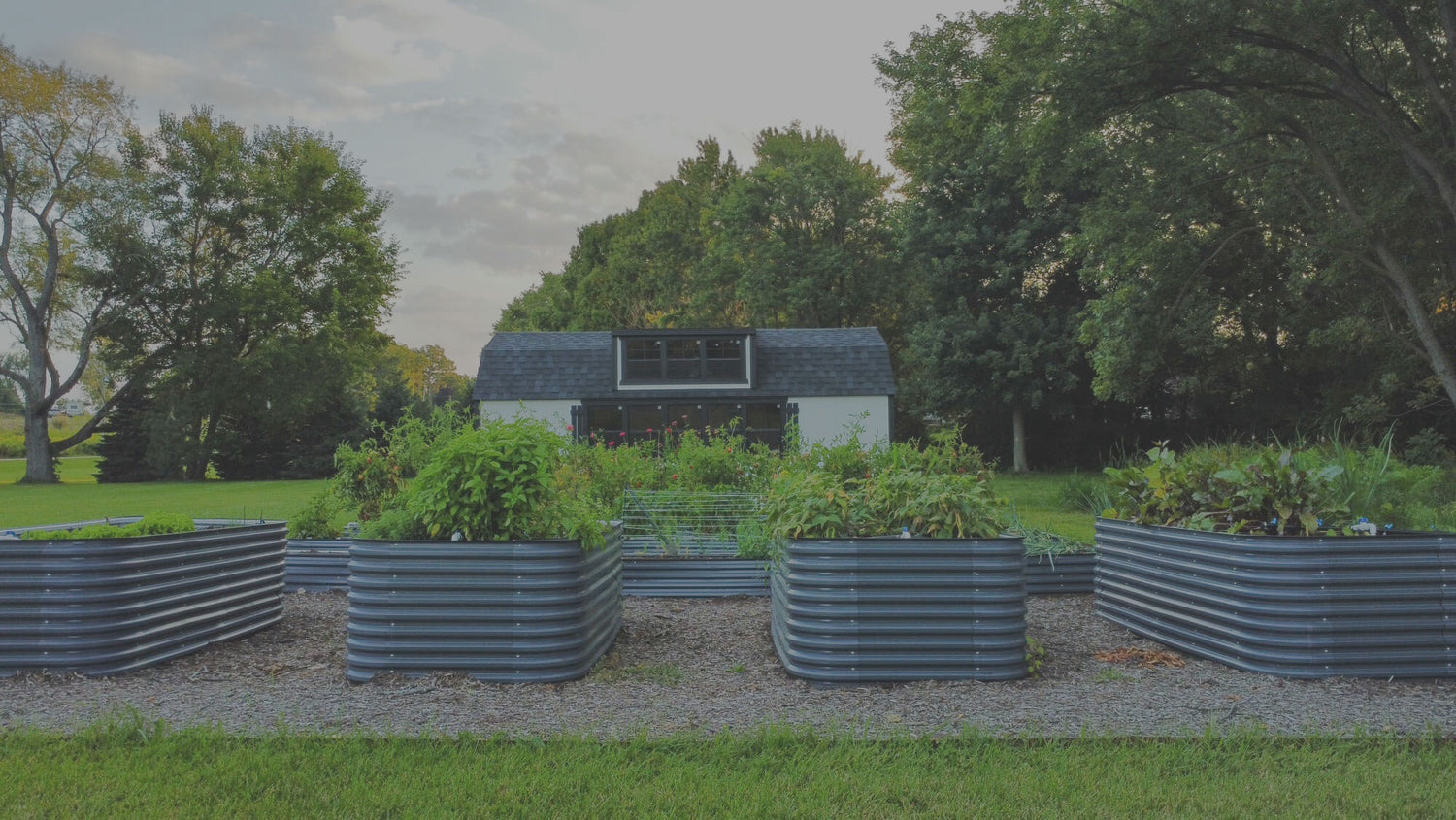 Eric-Pitzen-8-(1).jpg__PID:a3c5d145-0d5c-4969-ba2c-7632f6e645ae