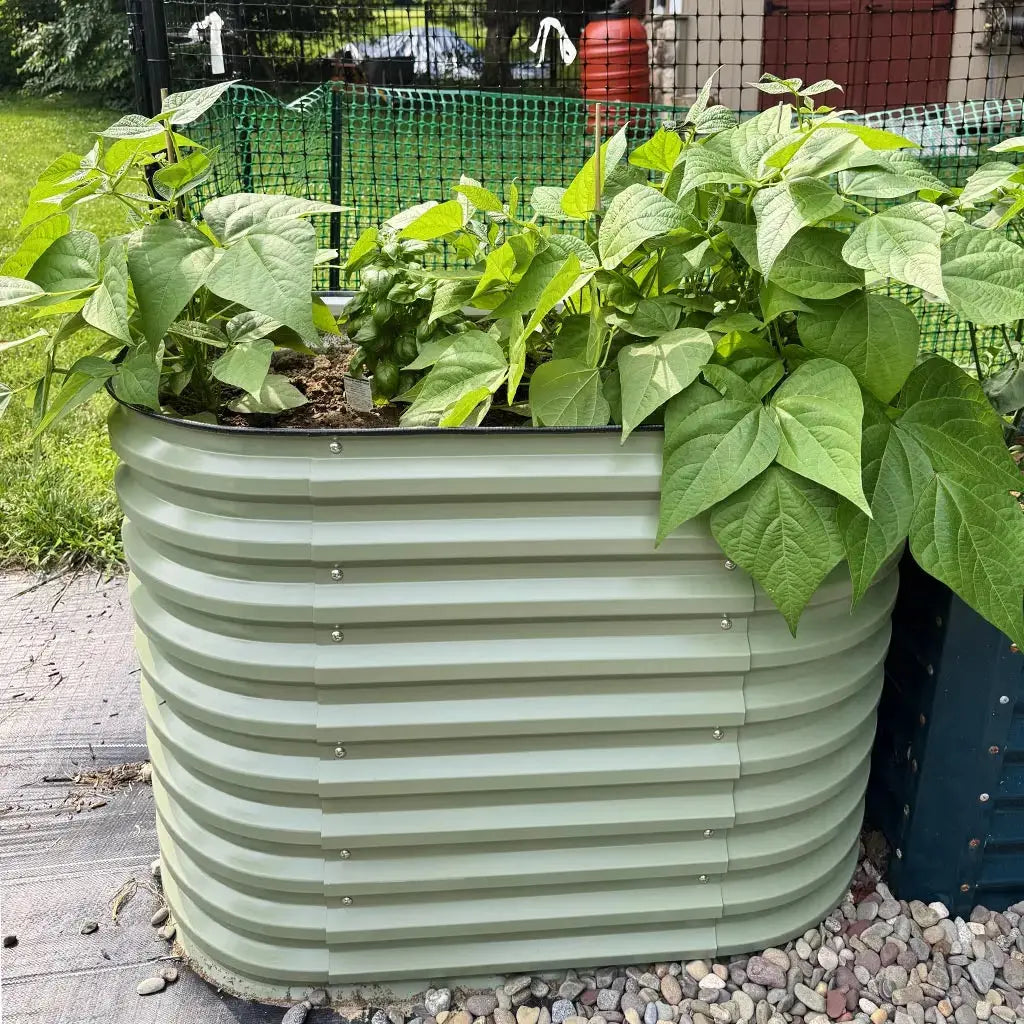 raised garden bed galvanized steel