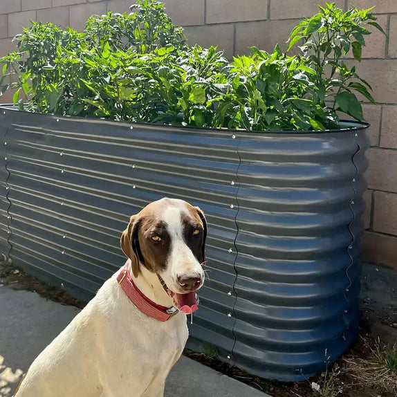 6.5x2 Raised Garden Bed