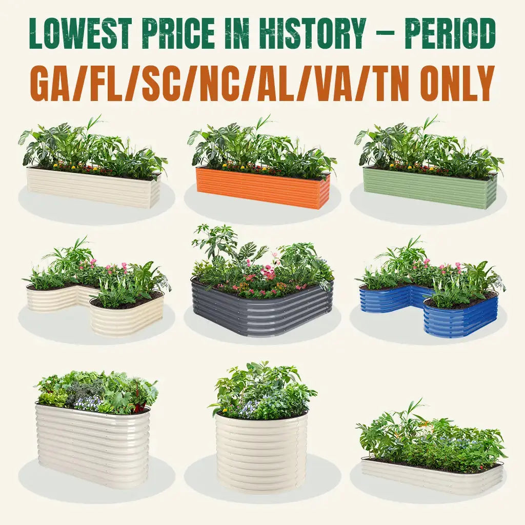 【GA/FL/SC/NC/AL/VA/TN Only】 Local Stock Clearance | Extra Savings