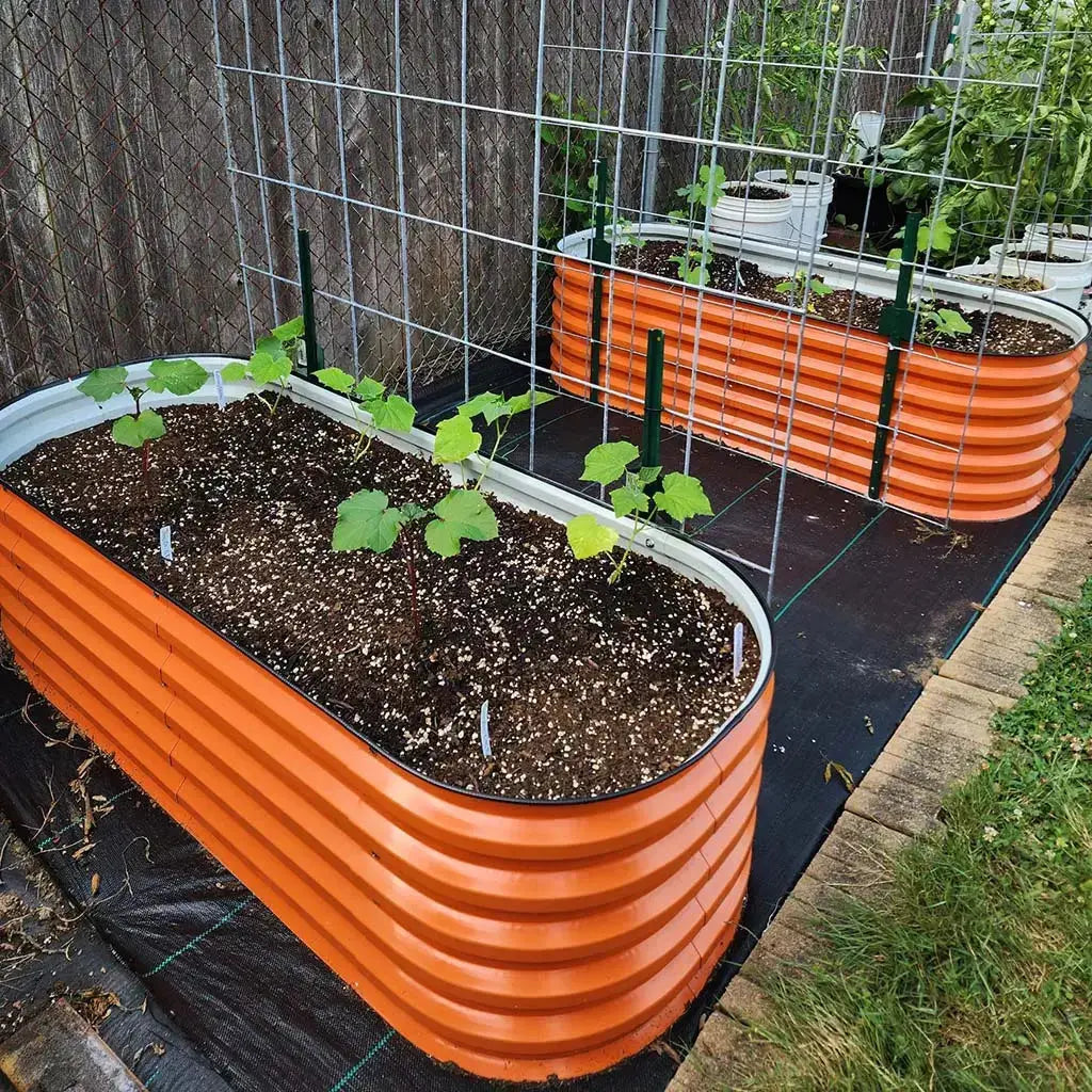orange garden boxes growing plants-Vegega