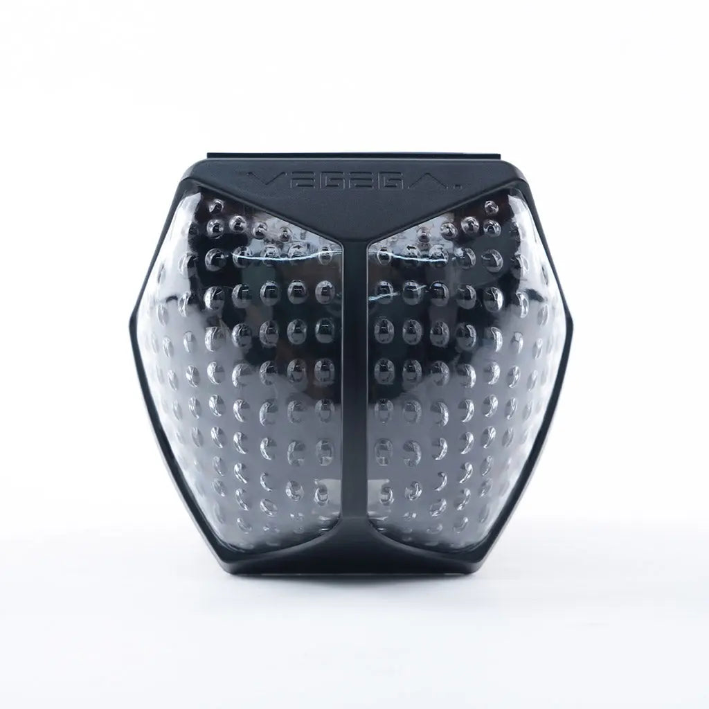 Magnetic Solar Garden Light | Auto On/Off & Waterproof 1