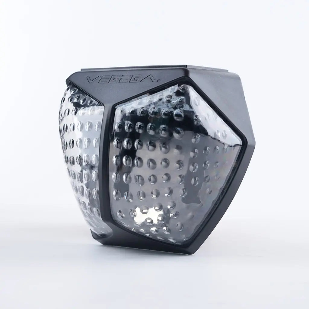 Magnetic Solar Garden Light | Auto On/Off & Waterproof 1