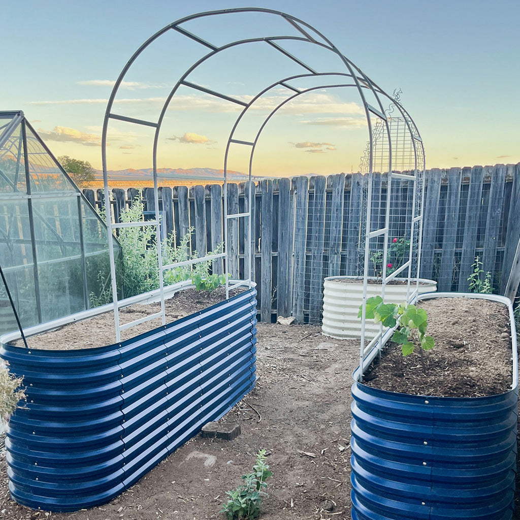 Arched Trellis 