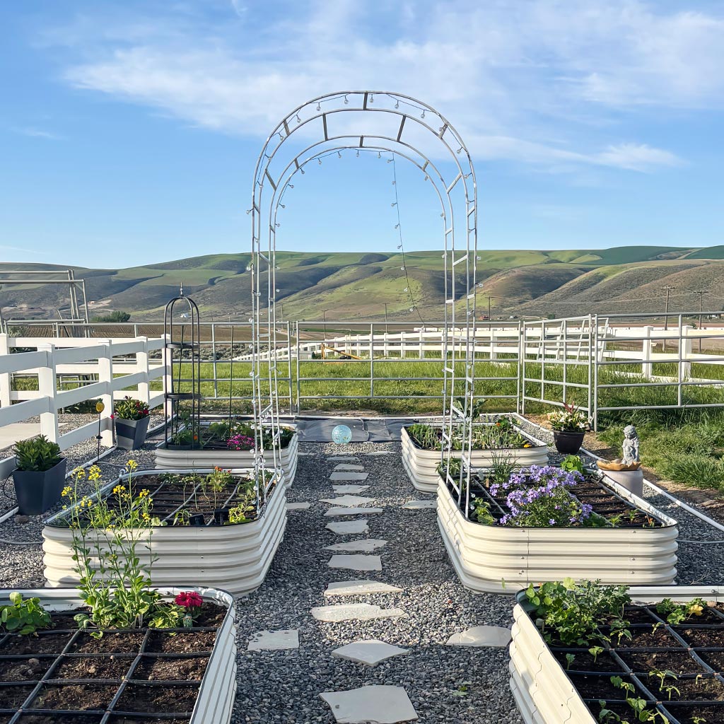 arched trellis garden