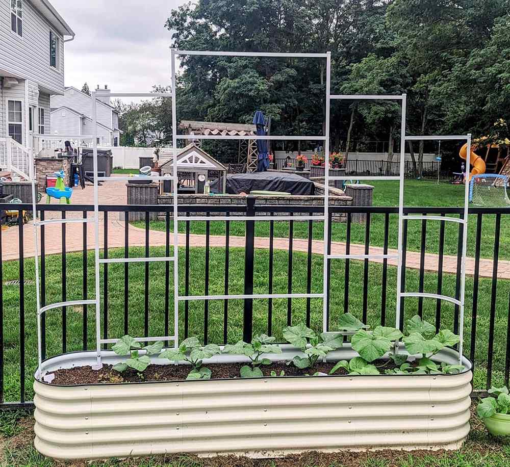 wall-trellis-Vegega