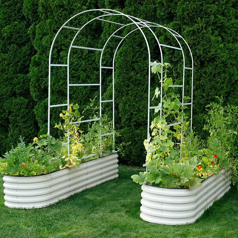 circular plant trellis CA/NV/AZ Only】 Local Stock Clearance