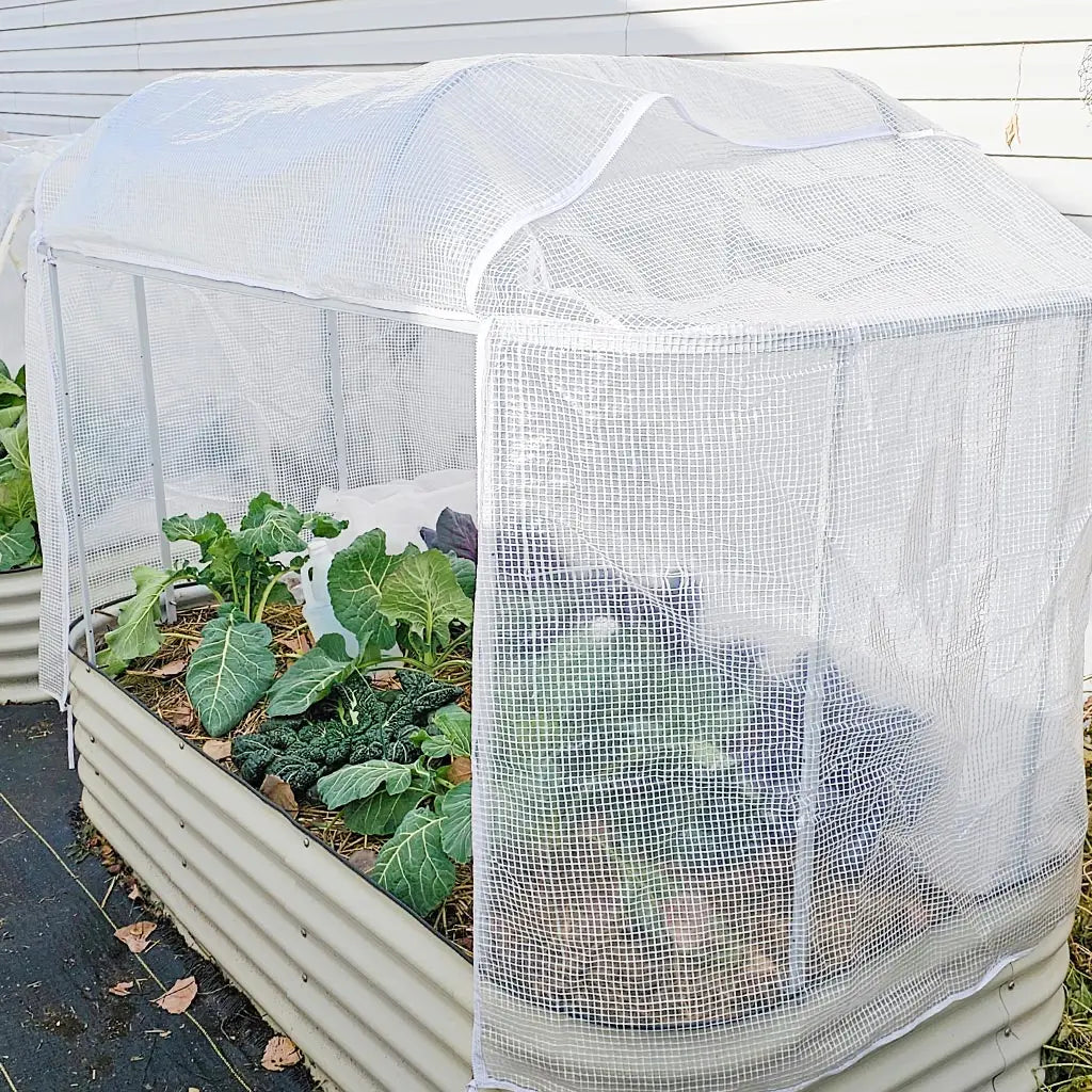 tobacco plant bed cover Vego Garden System 3.5'W x 5.0'L its a wonderful plant for any garden. Transplanting Tobacco Plants into the