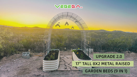 17'' Tall 8x2 Metal Raised Garden Beds (9 in 1)【Upgrade 2.0】