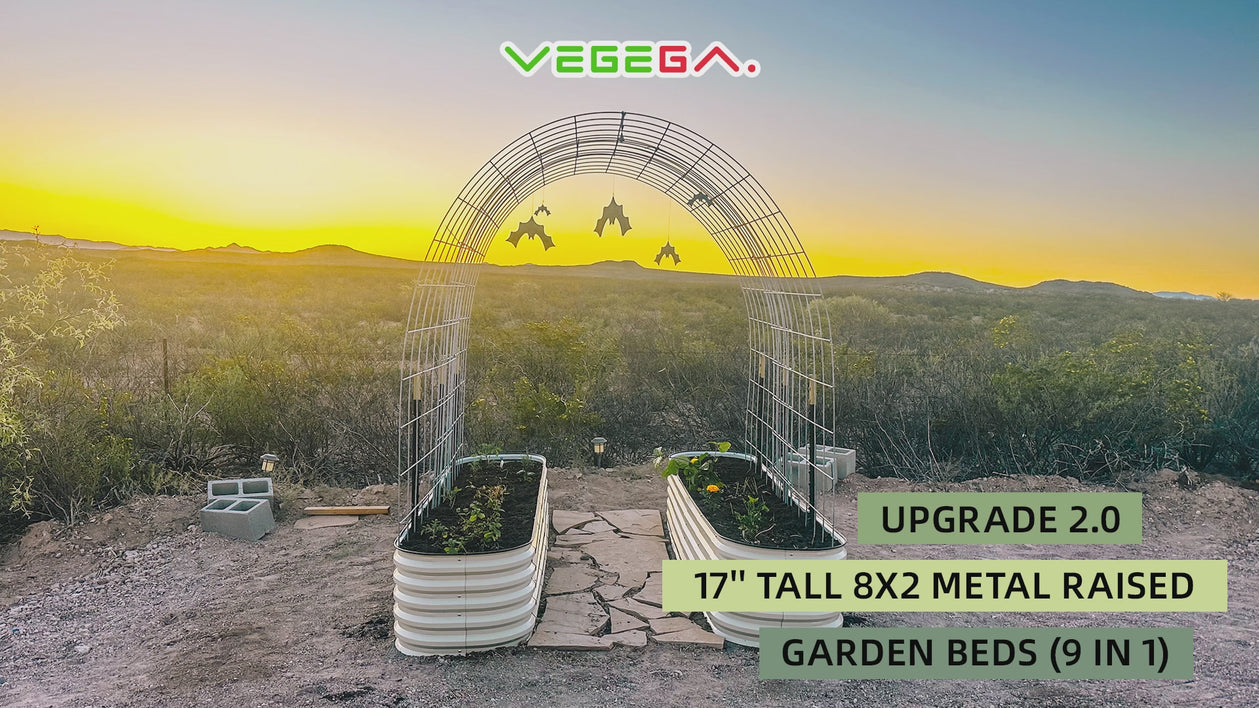 17'' Tall 8x2 Metal Raised Garden Beds (9 in 1)【Upgrade 2.0】