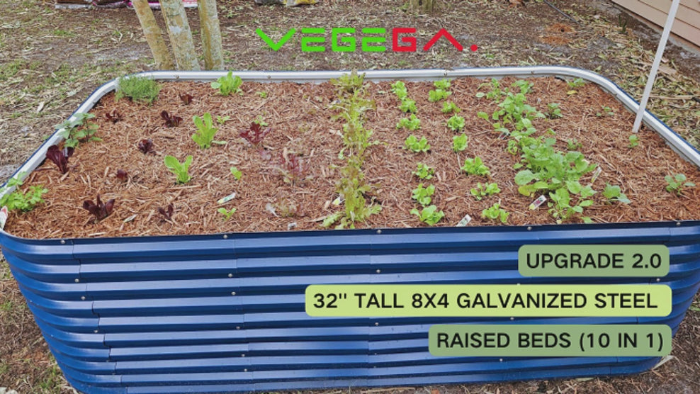 32'' Tall 8x2 Waist-high Metal Raised Garden Bed Kit (9 in 1)【Upgrade 2.0】
