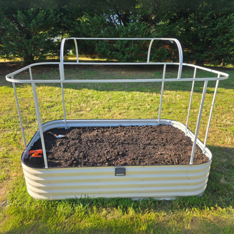 tobacco plant bed cover Pennsylvania Broadleaf these game Ornamental tobacco, beautiful flowers for
