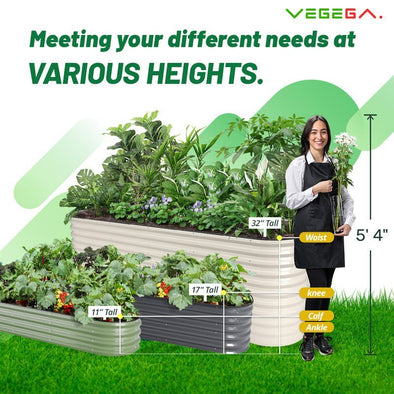 infographic of different heights of rouns raised beds-Vegega