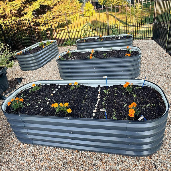 2x5 raised garden beds growing plants in backyard-Vegega