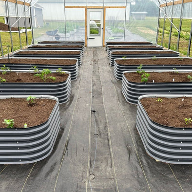 eight metal planter boxes in greenhouse-Vegega