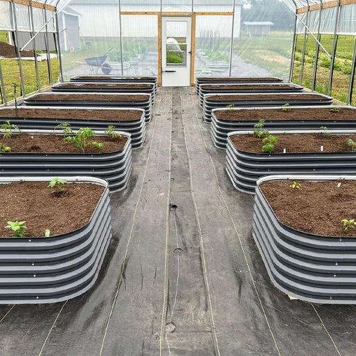 eight metal planter boxes in greenhouse-Vegega