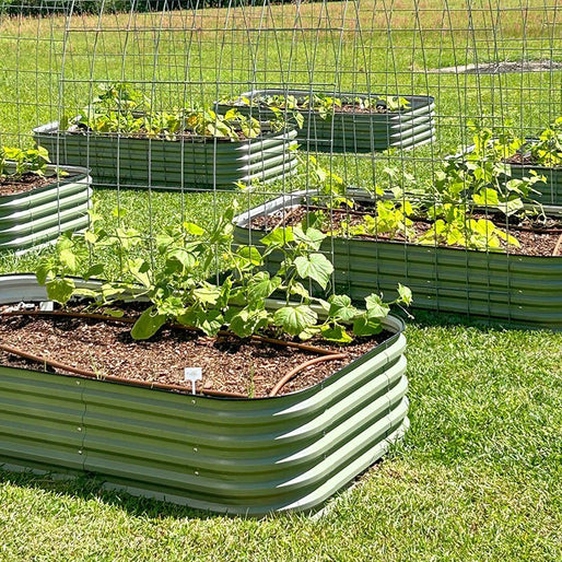 raised planter boxes-Vegega