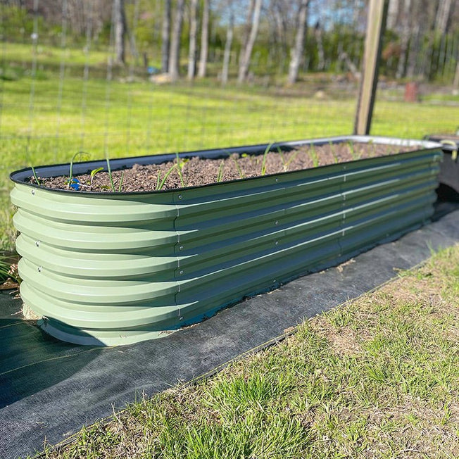 17 inches tall green galvanized steel planter boxes growing spring onions-Vegega