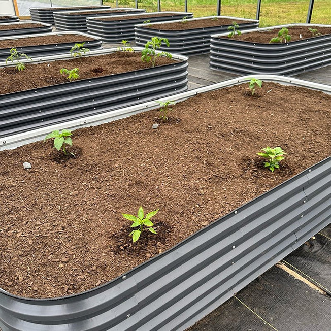 steel planter boxes growing plants-Vegega