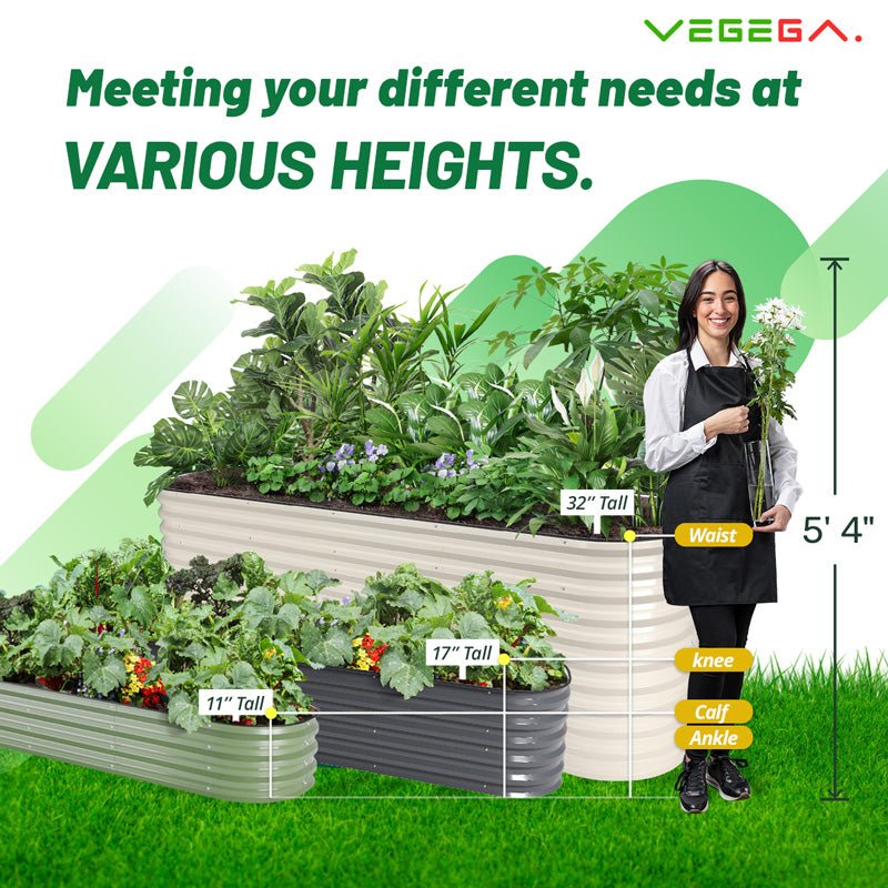 infographic of different height of metal raised beds-Vegega