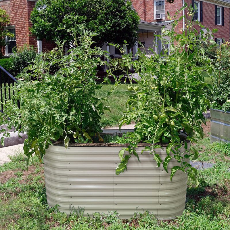 growing tomatoes in a raised garden bed kit-Vegega