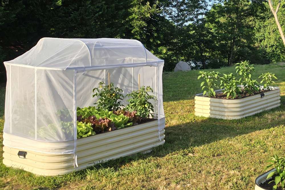 veggies grow in metal raised beds with raised bed cover-Vegega.jpg__PID:eab28269-7e2e-4550-9d2b-d88fc5643b3c